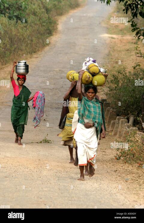 ଡଙ୍ଗରିଆ ଲୋକୁ