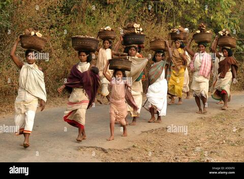 ଡଙ୍ଗରିଆ ଲୋକୁ