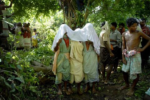 ହେଡି ବେଲାନି ପଟ