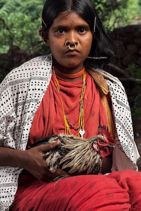 women catching the hen