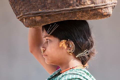 Dongaria Kandha Photo