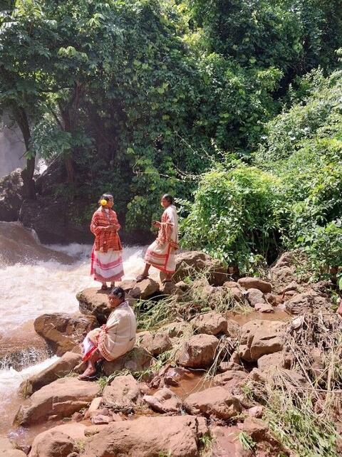 Dongaria Kandha Photo