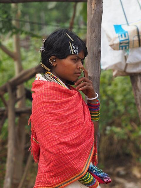 Dongaria Kandha Photo