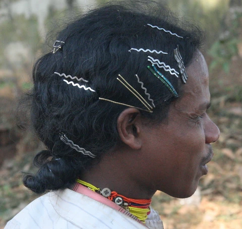 Dongaria Kandha Photo