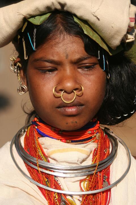 Dongaria Kandha Photo