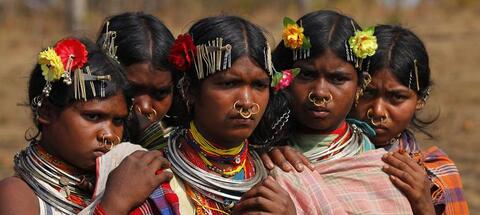 Dongaria Kandha Photo