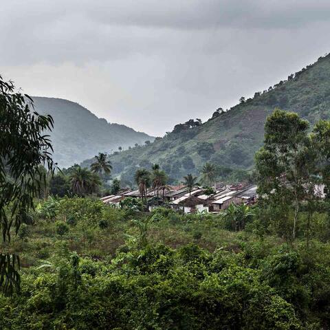 Dongaria Kandha Photo