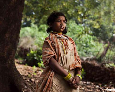 Dongaria Kandha Photo