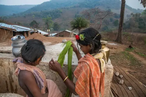 Dongaria Kandha Photo