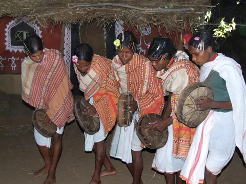 Dongaria Kandha Photo