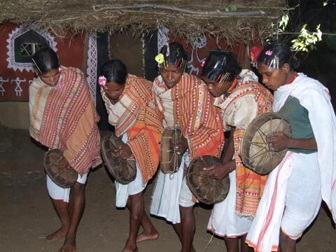 Dongaria Kandha Photo