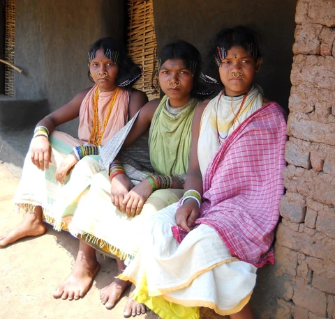 Dongaria Kandha Photo