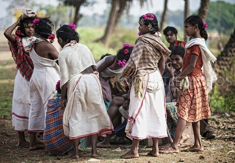 Dongaria Kandha Photo