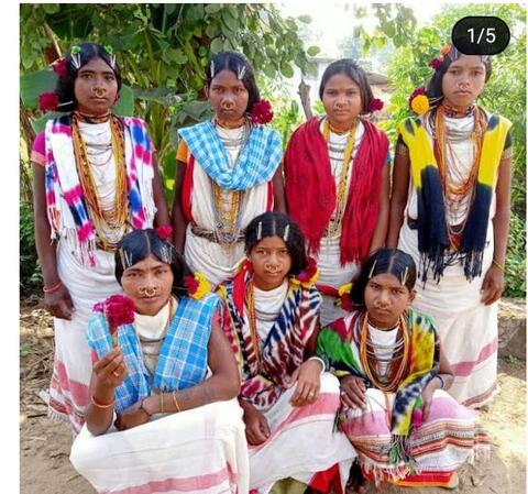 Dongaria Kandha Photo