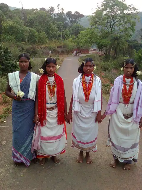 Dongaria Kandha Photo