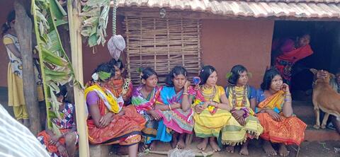 Dongaria Kandha Photo