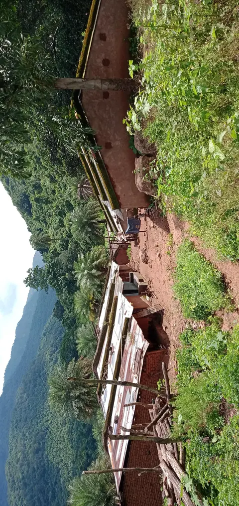 Dongaria Kandha Photo