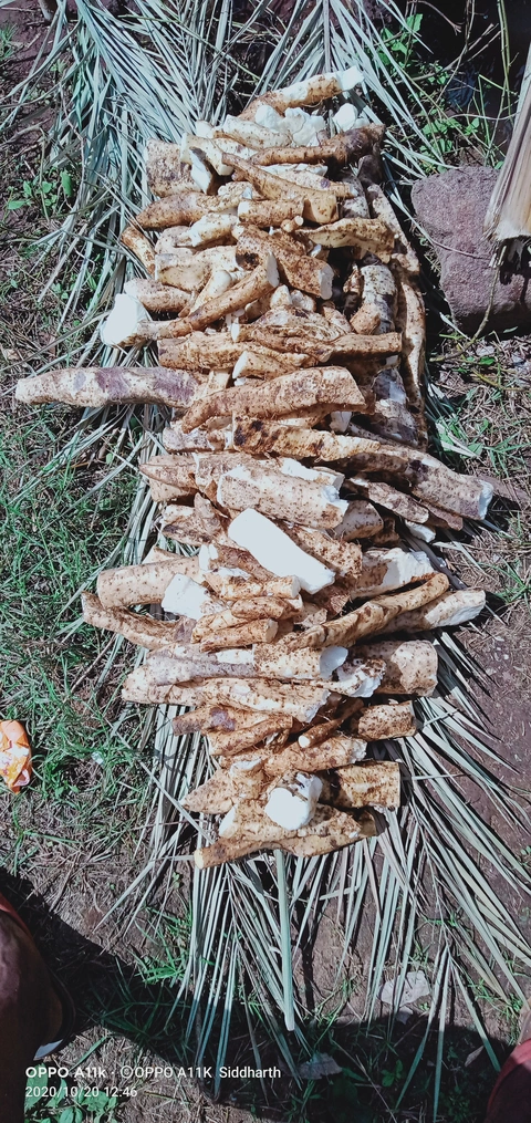 Dongaria Kandha Photo