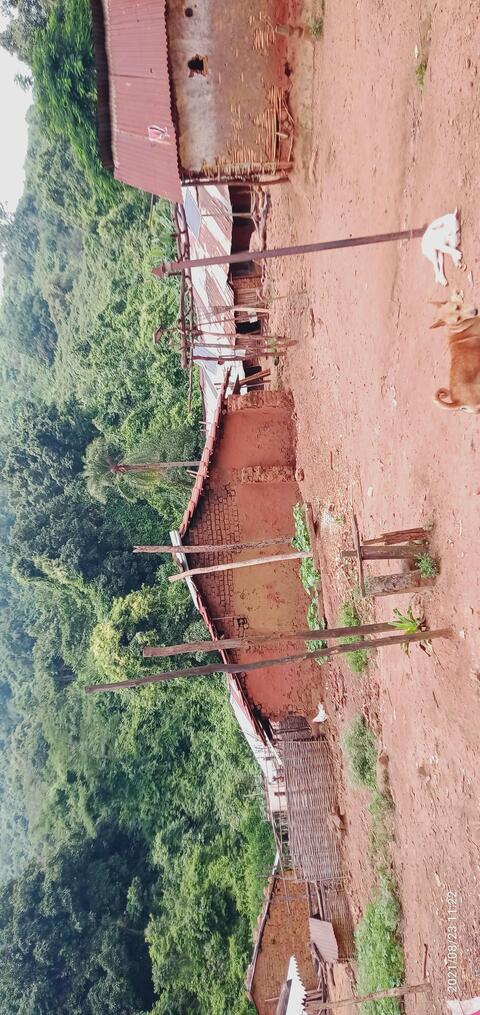 Dongaria Kandha Photo