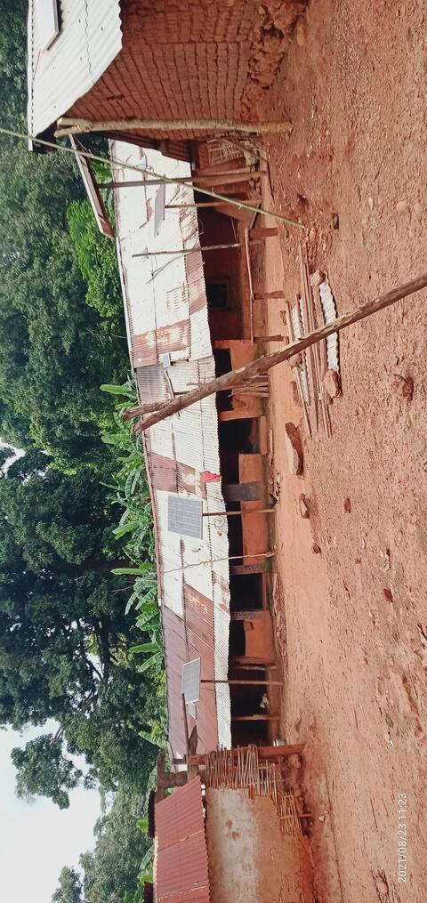 Dongaria Kandha Photo