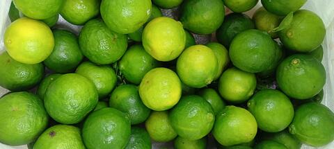 orange of niyamamgiri