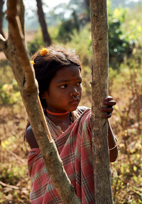 Dongaria Kandha Photo