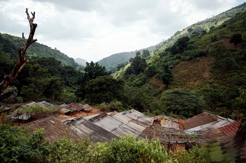 Dongaria Kandha Photo