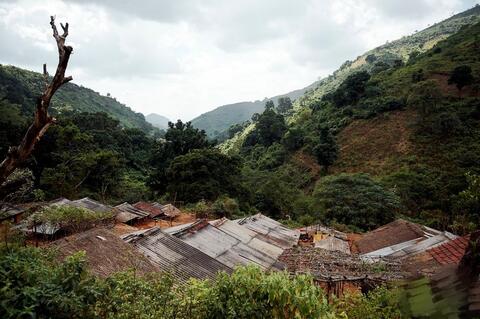 Dongaria Kandha Photo