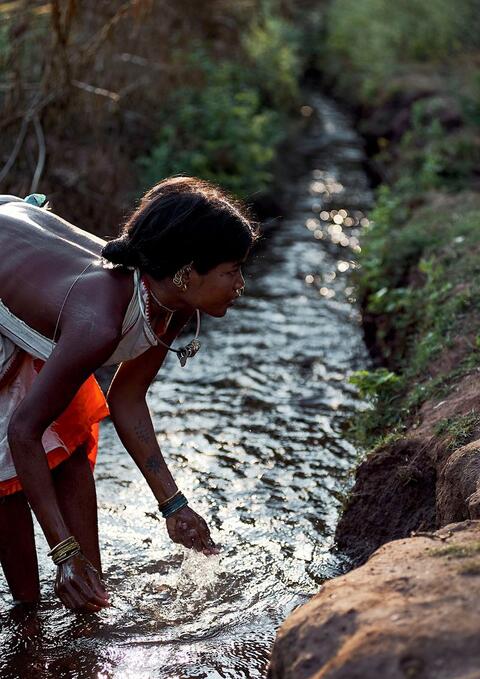 Dongaria Kandha Photo