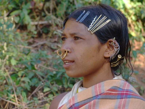 Dongaria Kandha Photo