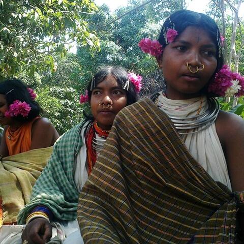 Dongaria Kandha Photo