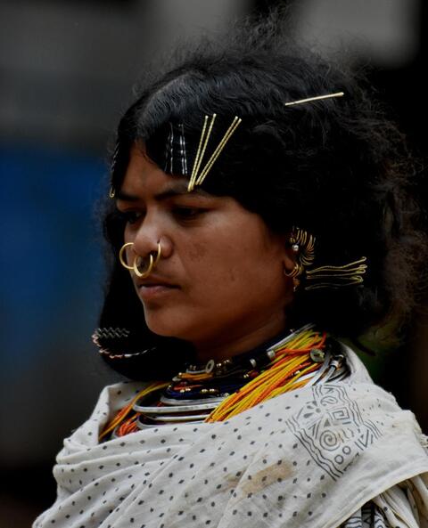 Dongaria Kandha Photo