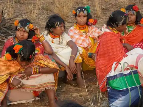 Dongaria Kandha Photo