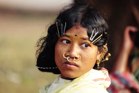 Dongaria Kandha Photo