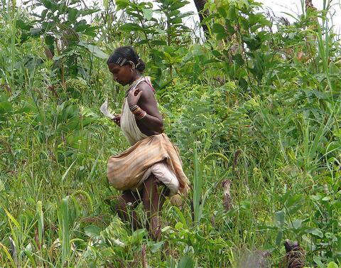 Dongaria Kandha Photo