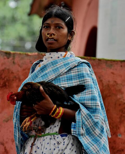 Dongaria Kandha Photo