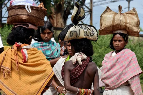 Dongaria Kandha Photo