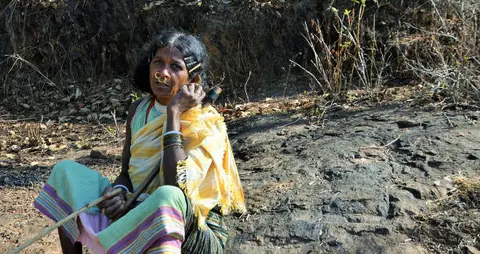 Dongaria Kandha Photo