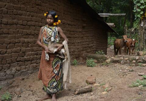 Dongaria Kandha Photo