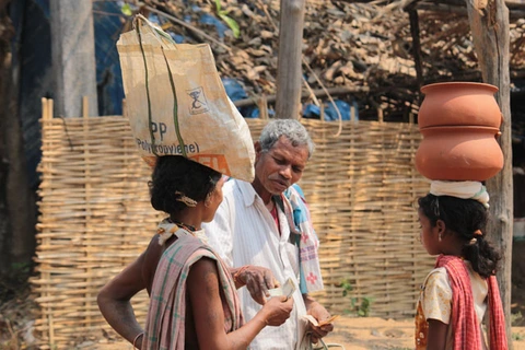 Dongaria Kandha Photo