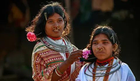 ଡଙ୍ଗରିଆ 