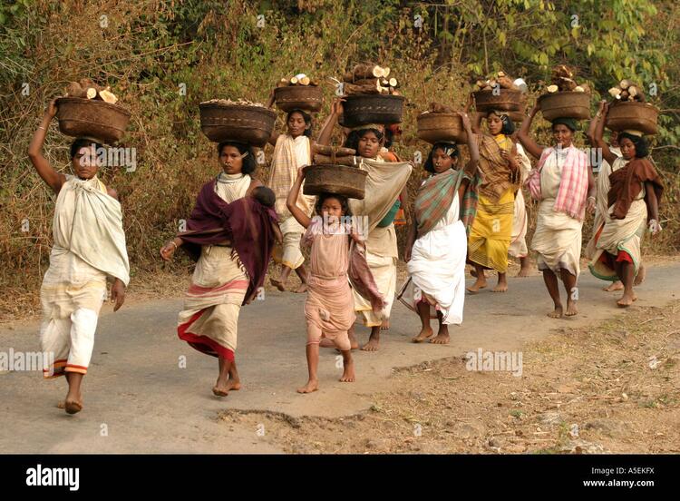 ଡଙ୍ଗରିଆ ଲୋକୁ